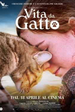 Vita da gatto (2023)