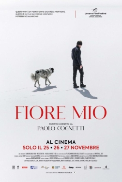 Fiore Mio (2024)